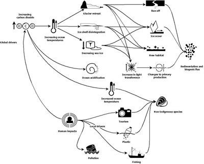 Responses of Southern Ocean Seafloor Habitats and Communities to Global and Local Drivers of Change